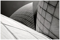 aried work Black & White I
